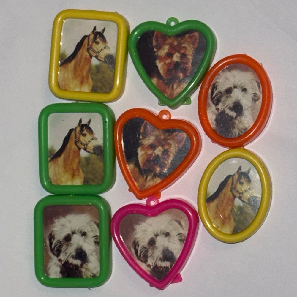 Colorful toy Animal Picture frames